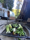Grilling Vegetables by the Trailer