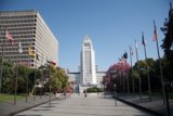 City Hall's Patriotic Surroundings