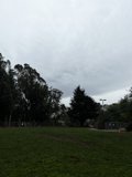 A Serene Day at the Park