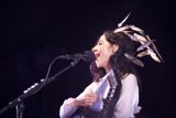 Feathered Performer