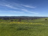 Spring Serenity in Concord