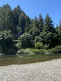 Kayaking through the Forest