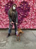 Walking my furry friend
