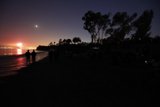 Sunset Silhouettes