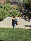 Springtime Adventures in the Garden