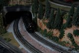 Through the Trees and into the Tunnel