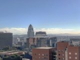 Skyline View of Downtown Los Angeles