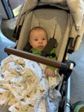 Wonder in the Stroller