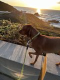 Walking with My Best Friend