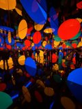 Kaleidoscopic Nightlife: A Vibrant Encounter