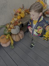 Young Boy Explores Autumn Pumpkin Display