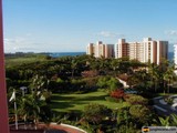 A Serene View of Hawaii's Ocean and Buildings from a Balcony