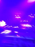 Purple Haze