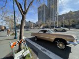 Vintage Beauty in the City