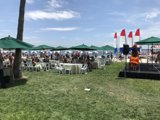 A Summer Picnic Gathering