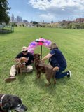 Park Playtime with Pups