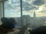 City Pup
