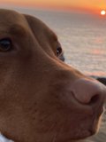 A Day at the Beach