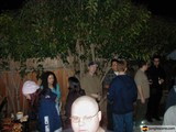 Nighttime Gathering Around a Potted Plant