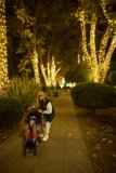 Festive Evening Stroll