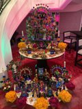 Candy and Flowers Galore