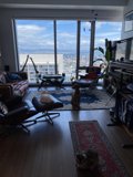 Sunny Living Room Serenade