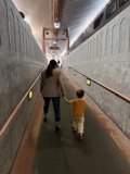 Journey Through the Terminal