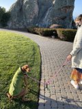 A Walk in the Park