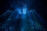 Spotlight on the Crowd