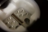 The Intricacies of Electronic Adaptation
