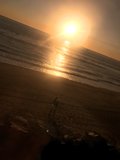 Kite flying at Sunset