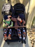 Playful Moments on a Sunny Day