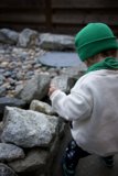 Little Explorer's Big Sur Adventure