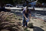 Planting in the Park