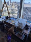 Canine and Feline Roommates in SF