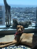 Relaxing with a View