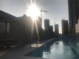Urban Oasis
