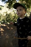 Young Explorer: Wesley's Day Out