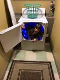 Laundry Time with Mom