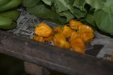 Fresh Produce and News