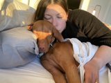 Sweet Dreams with Furry Friends