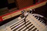 Wired Wood