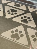 Paws and Patterns