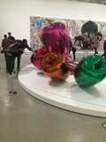 Exploring the Sphere of Colorful Balloons