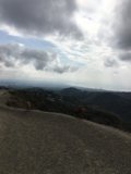 Pawsing for a View