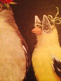 The Wise Birds in Glasses