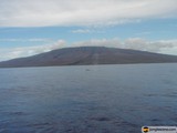 Majestic Mountain and the Graceful Whale