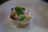 Sweet Treats on a Paper Plate