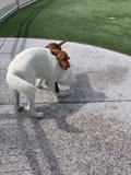 Playtime at the Park