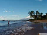 Surfer in Paradise